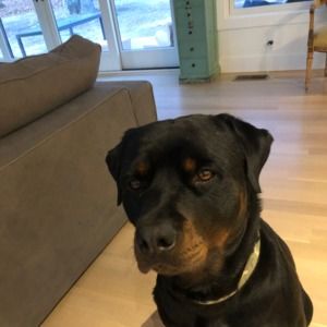 Meet your Posher, Felicia